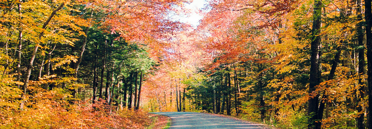 MSP Week 2025 Writing Contest: Part 3