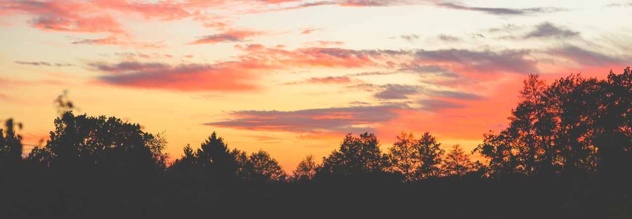 Empowering the Future: The Impact of the NAMSS Tomorrow’s Leaders Program